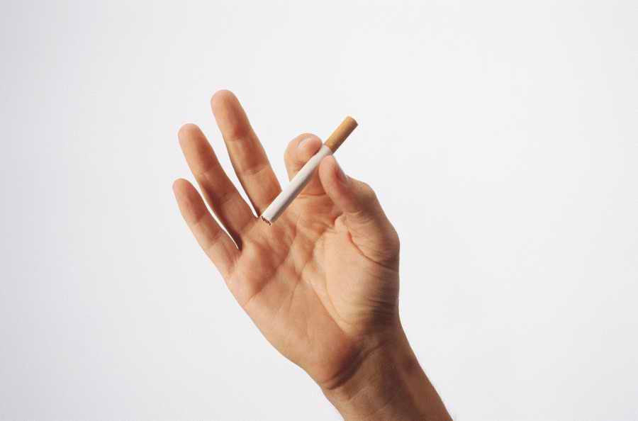 Just Hands - Photodisc Object Series ></a>
<script language=JavaScript> 
  var txt = 