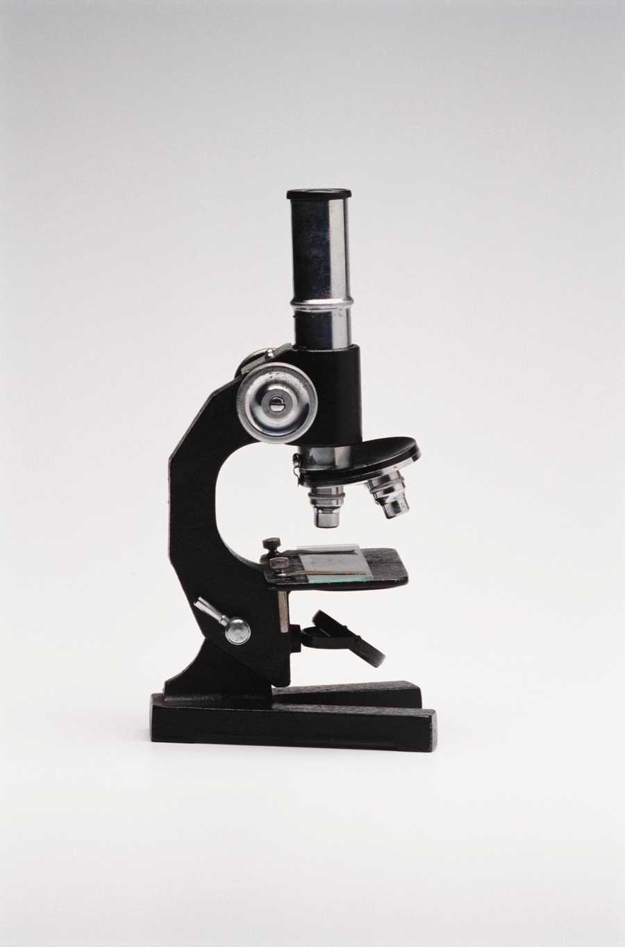 Just Tools - Photodisc Object Series ></a>
<script language=JavaScript> 
  var txt = 