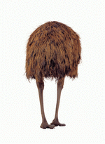 Photodisc Object Series: Lions, Tigers and Bears 