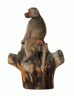 Photodisc Object Series: Lions, Tigers and Bears 