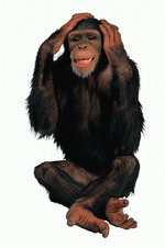 Photodisc Object Series: Lions, Tigers and Bears 