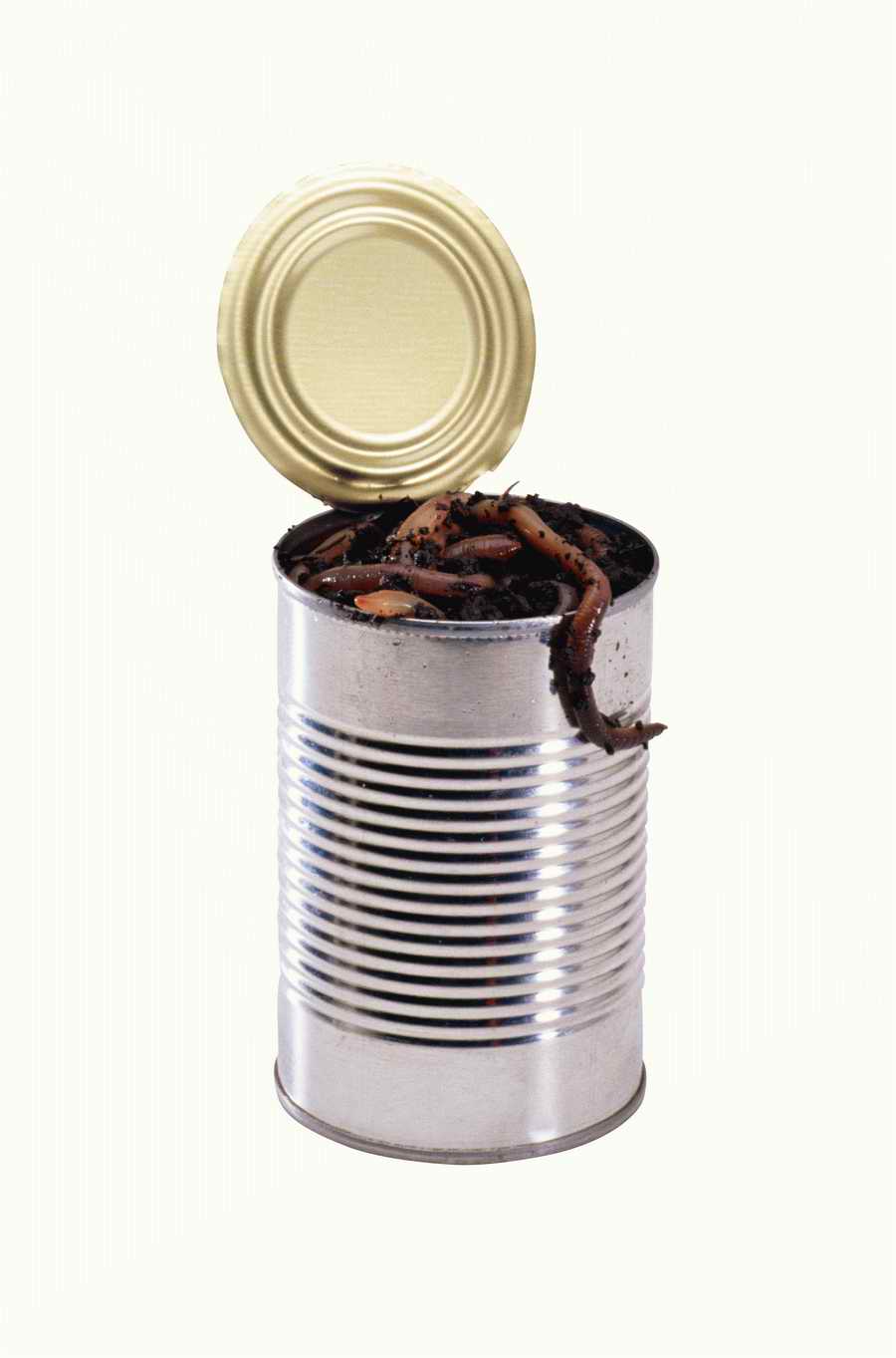 Metaphors and Symbols - Photodisc Object Series ></a>
<script language=JavaScript> 
  var txt = 