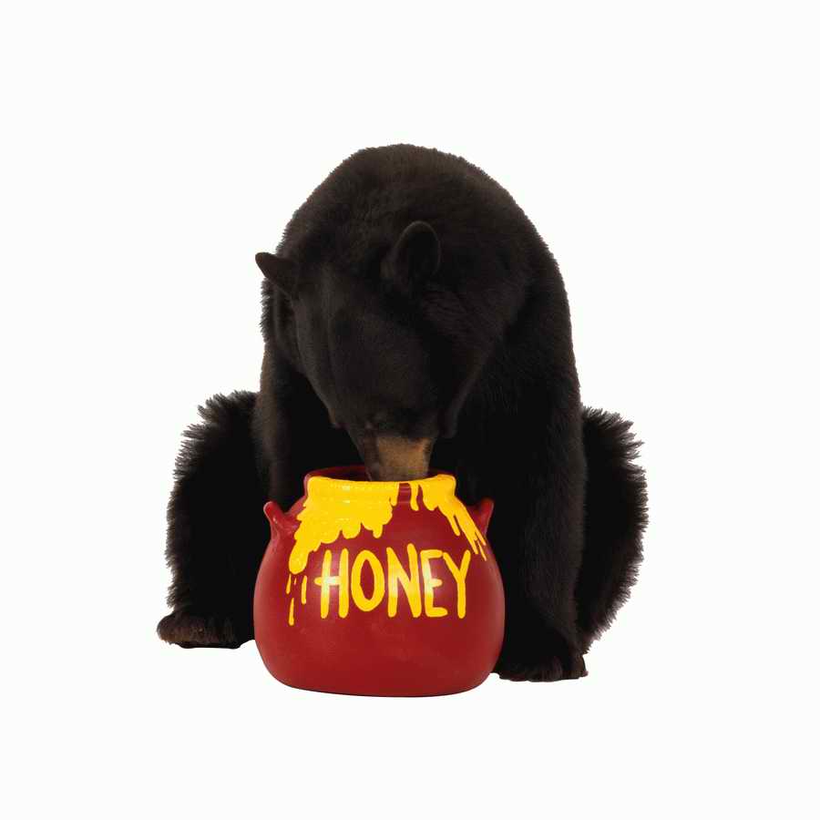 Metaphors and Symbols - Photodisc Object Series ></a>
<script language=JavaScript> 
  var txt = 