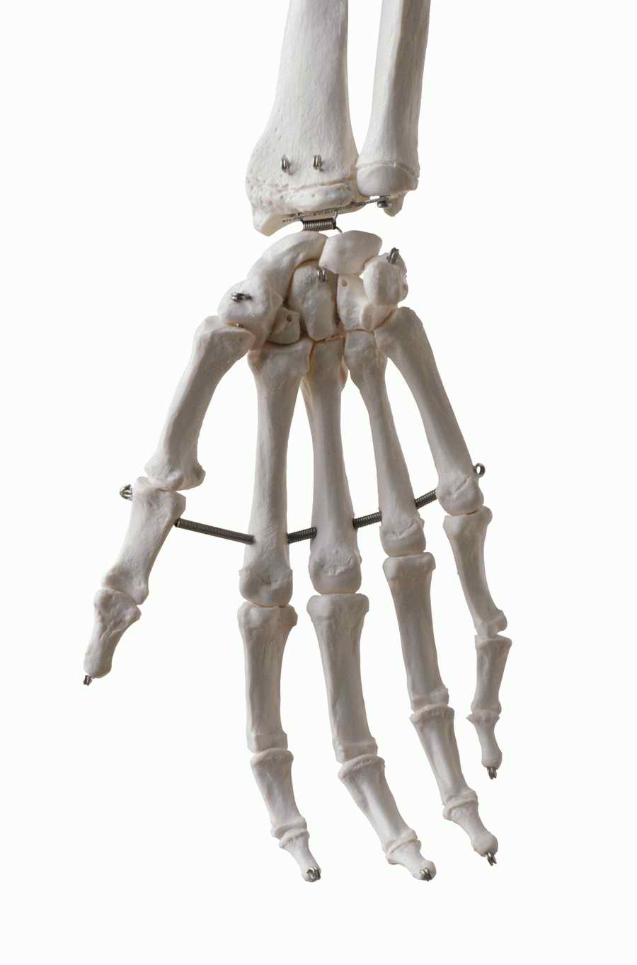 Metaphors and Symbols - Photodisc Object Series ></a>
<script language=JavaScript> 
  var txt = 