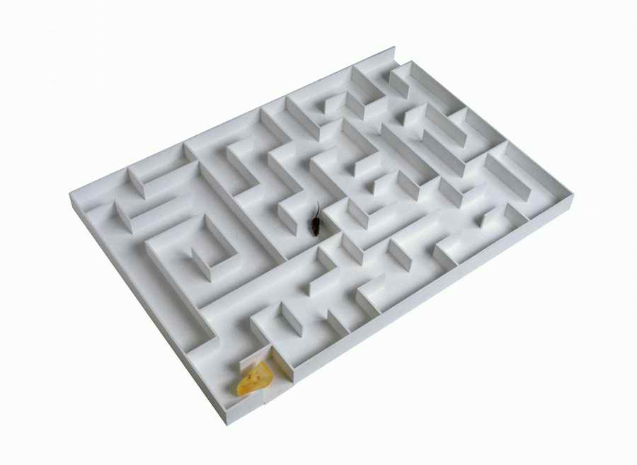 Metaphors and Symbols - Photodisc Object Series ></a>
<script language=JavaScript> 
  var txt = 