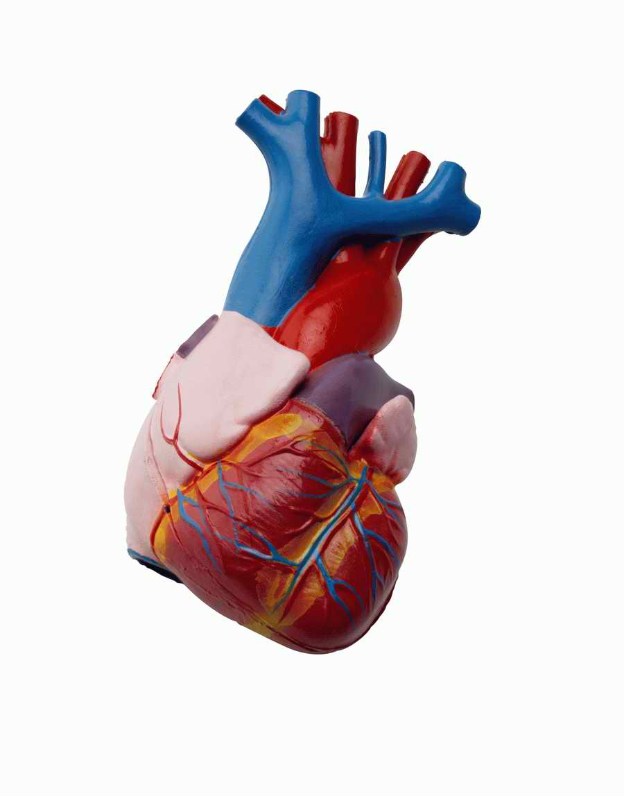 Medicine & Technology - Photodisc Object Series ></a>
<script language=JavaScript> 
  var txt = 