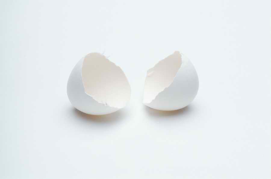 Metaphorically Speaking - Photodisc Object Series ></a>
<script language=JavaScript> 
  var txt = 