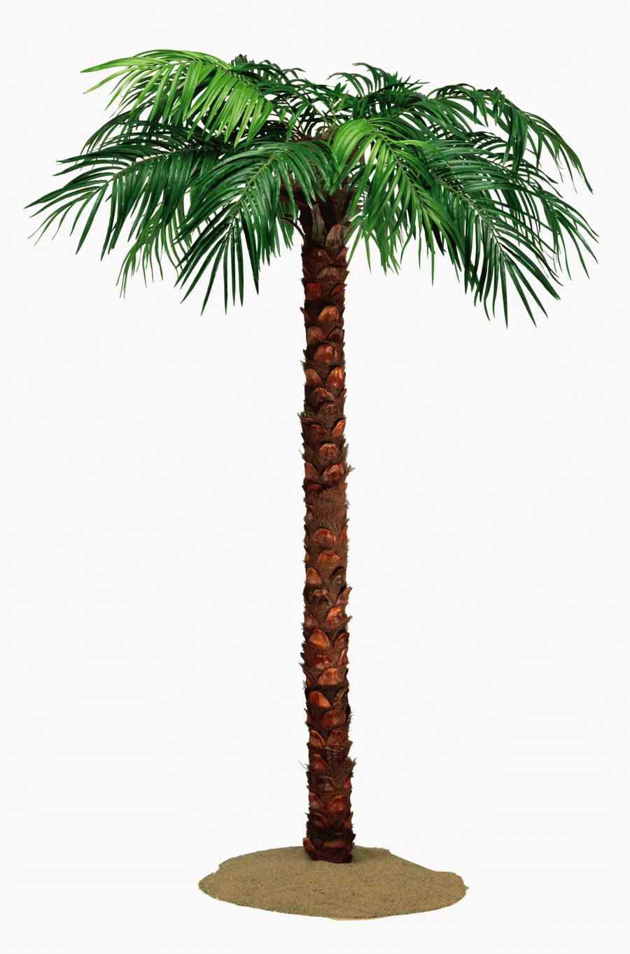 Objects of Nature - Photodisc Object Series ></a>
<script language=JavaScript> 
  var txt = 