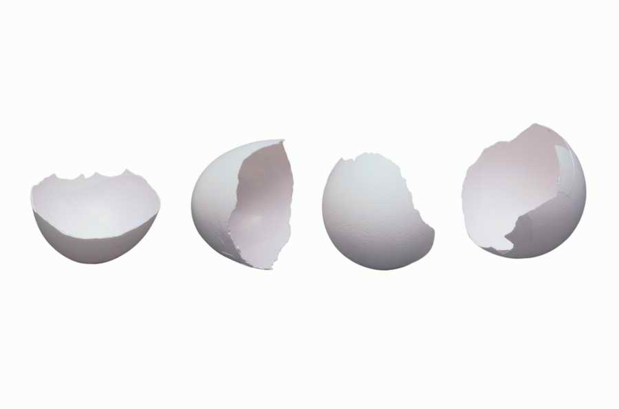 Objects of Nature - Photodisc Object Series ></a>
<script language=JavaScript> 
  var txt = 