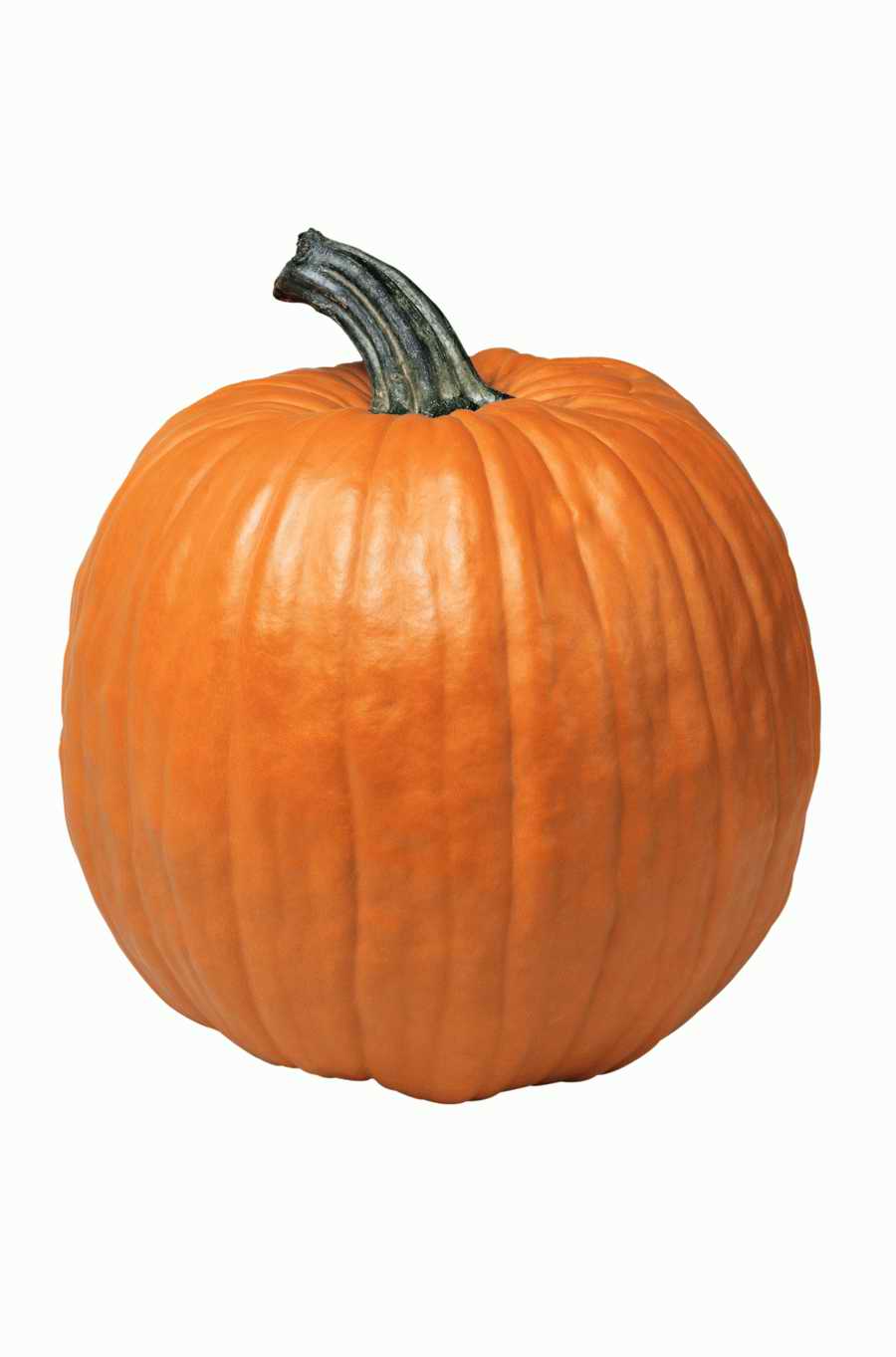 Objects of Nature - Photodisc Object Series ></a>
<script language=JavaScript> 
  var txt = 