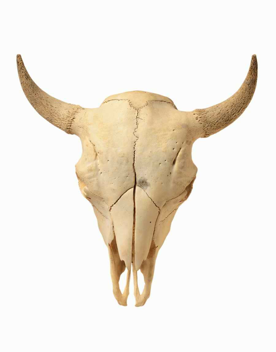 Objects of Nature - Photodisc Object Series ></a>
<script language=JavaScript> 
  var txt = 