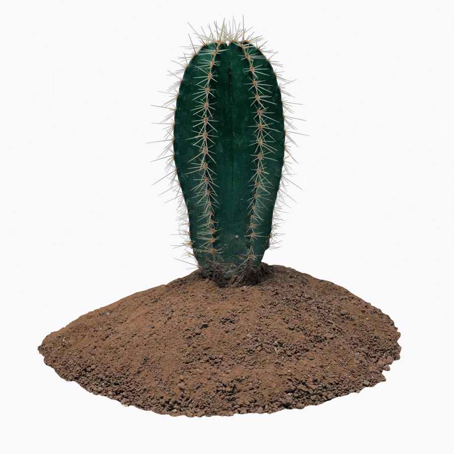 Objects of Nature - Photodisc Object Series ></a>
<script language=JavaScript> 
  var txt = 