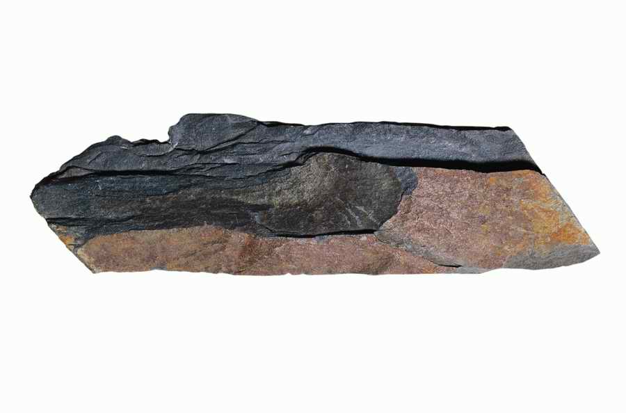 Objects of Nature - Photodisc Object Series ></a>
<script language=JavaScript> 
  var txt = 