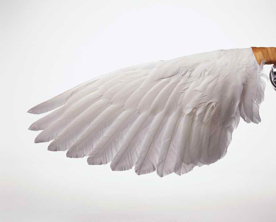 Retro Relics - Photodisc Object Series ></a>
<script language=JavaScript> 
  var txt = 