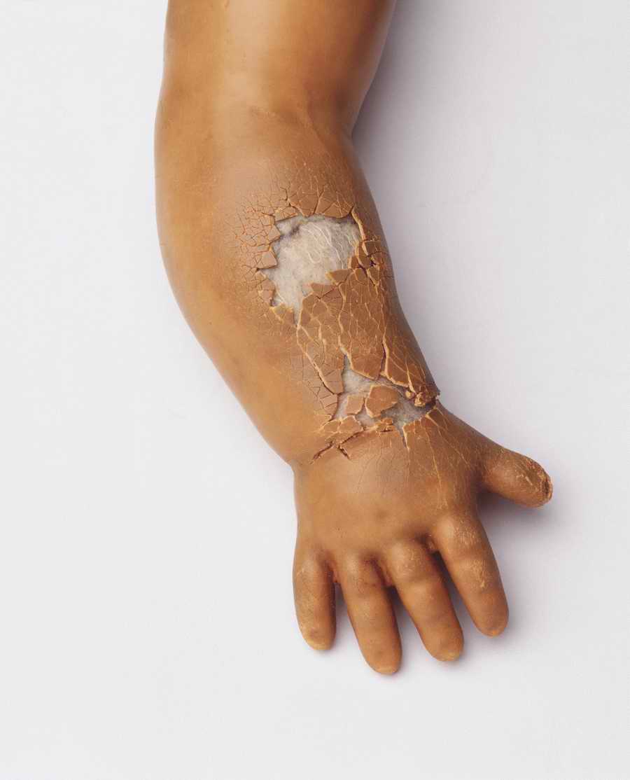 Retro Relics - Photodisc Object Series ></a>
<script language=JavaScript> 
  var txt = 