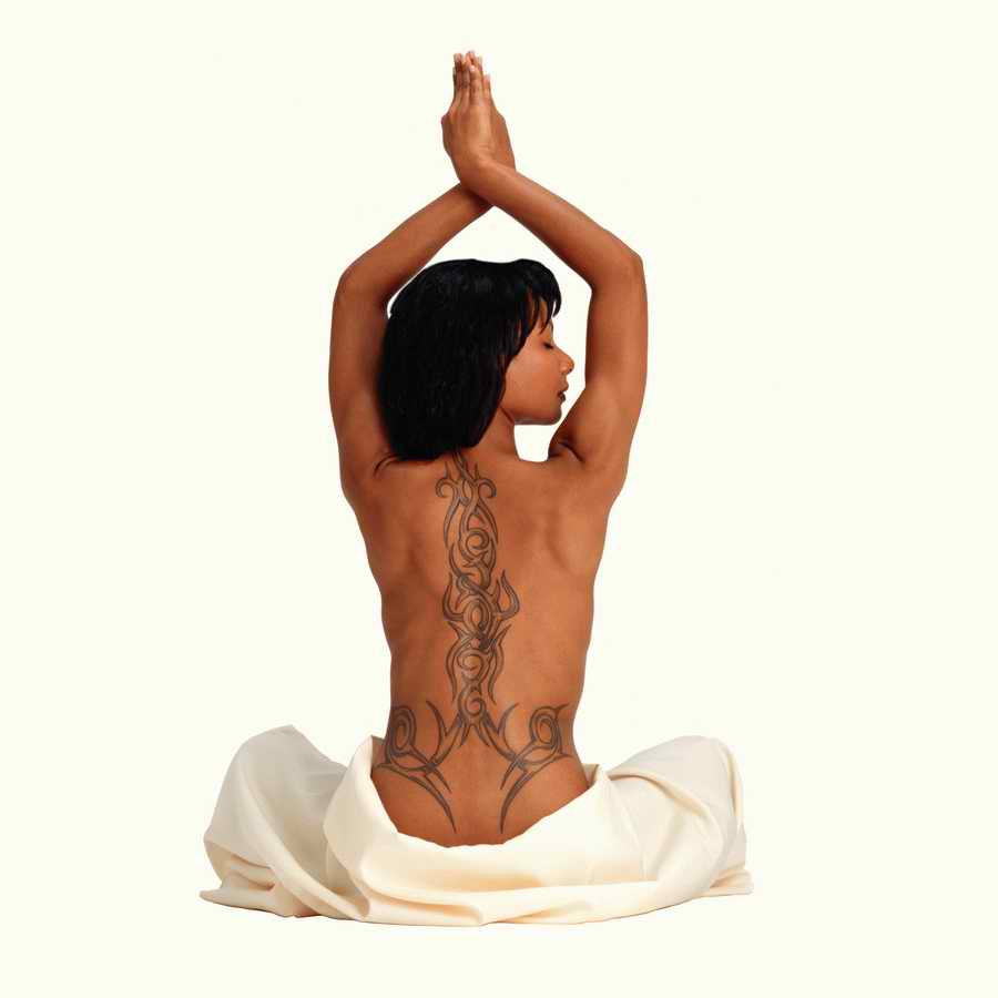 Supporting Cast Individuals - Photodisc Object Series ></a>
<script language=JavaScript> 
  var txt = 