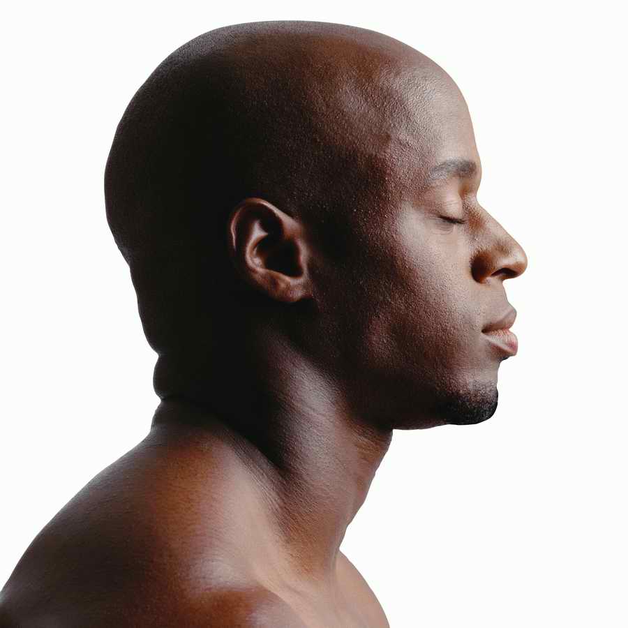 Supporting Cast Individuals - Photodisc Object Series ></a>
<script language=JavaScript> 
  var txt = 