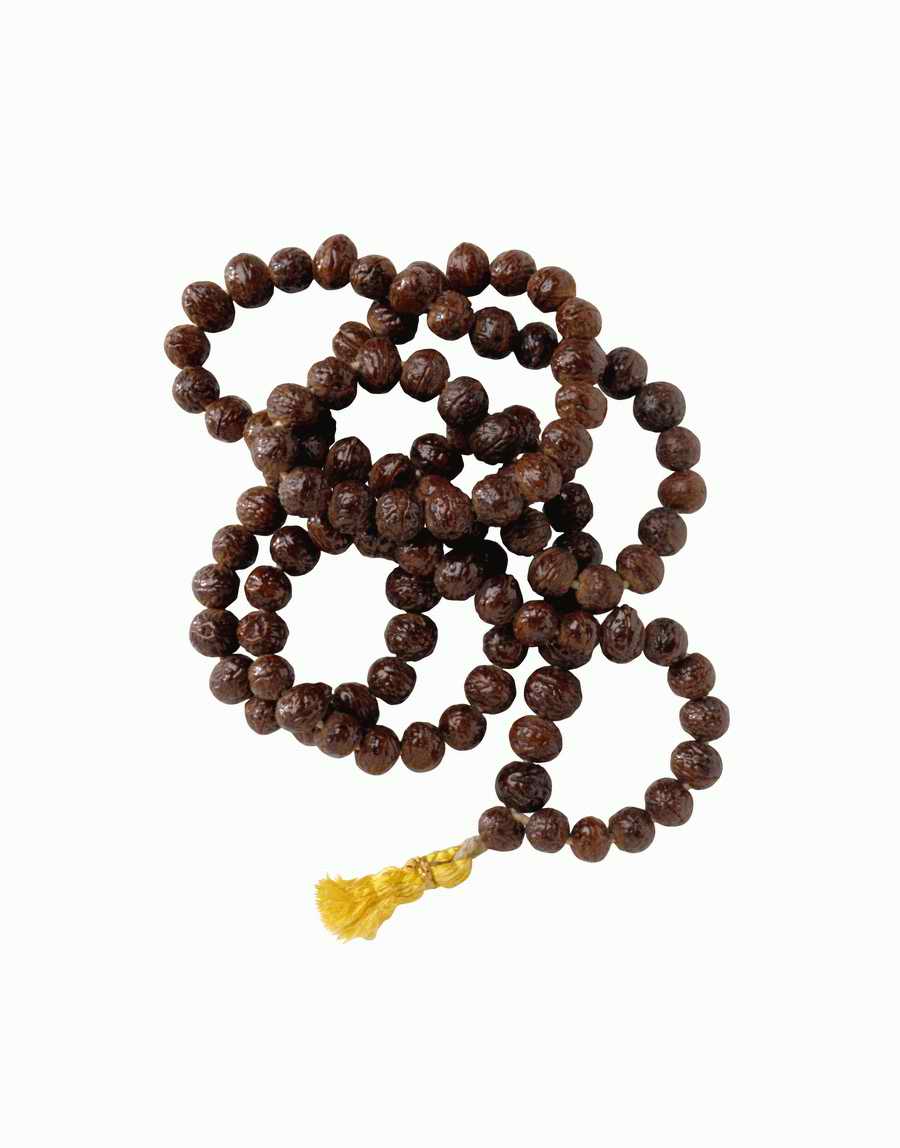 Spiritually Speaking - Photodisc Object Series ></a>
<script language=JavaScript> 
  var txt = 