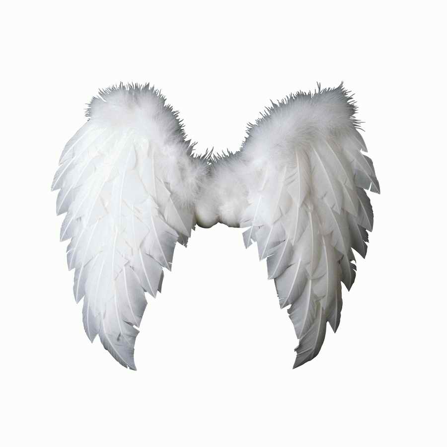 Spiritually Speaking - Photodisc Object Series ></a>
<script language=JavaScript> 
  var txt = 