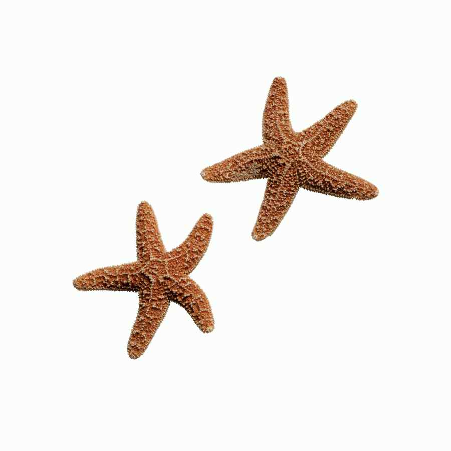 Travel and Vacation Icons - Photodisc Object Series ></a>
<script language=JavaScript> 
  var txt = 