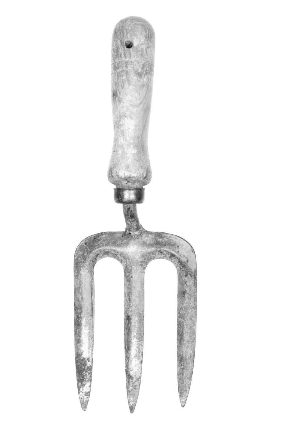 Toolshed - Photodisc Object Series ></a>
<script language=JavaScript> 
  var txt = 