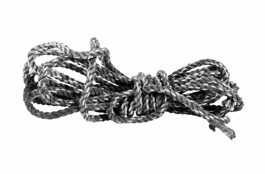 Toolshed - Photodisc Object Series ></a>
<script language=JavaScript> 
  var txt = 