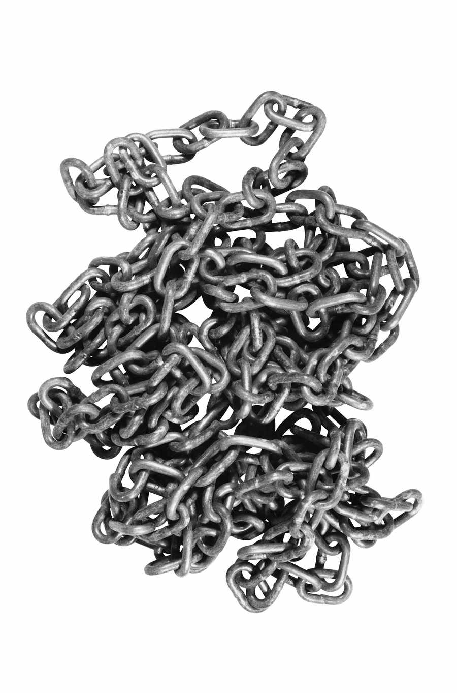 Toolshed - Photodisc Object Series ></a>
<script language=JavaScript> 
  var txt = 
