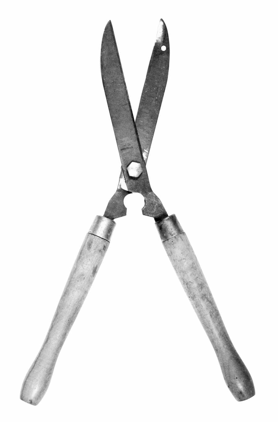 Toolshed - Photodisc Object Series ></a>
<script language=JavaScript> 
  var txt = 