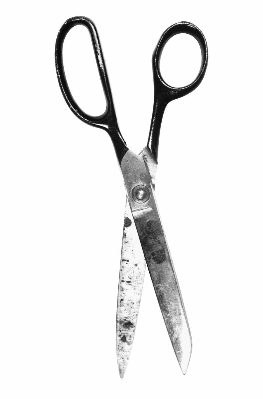 Toolshed - Photodisc Object Series ></a>
<script language=JavaScript> 
  var txt = 