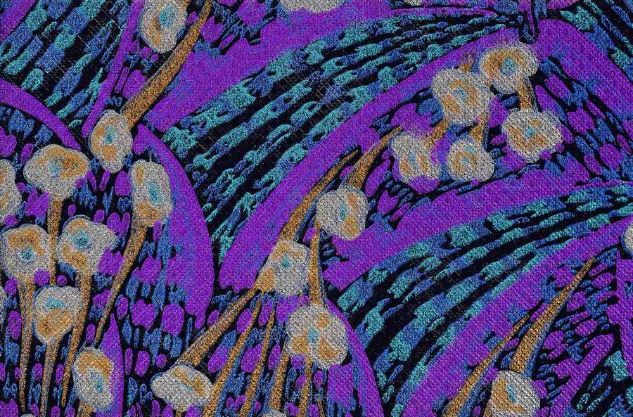 Patterns Of The 1930s - Pepin Press ></a>
<script language=JavaScript> 
  var txt = 