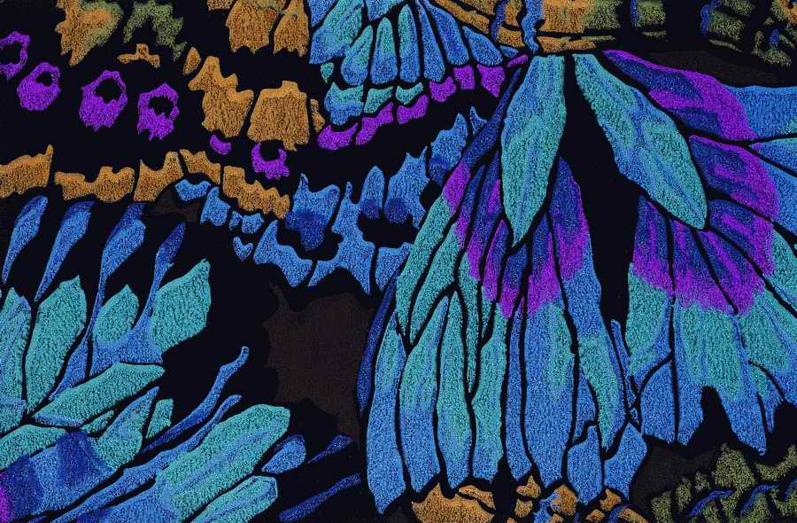 Patterns Of The 1930s - Pepin Press ></a>
<script language=JavaScript> 
  var txt = 