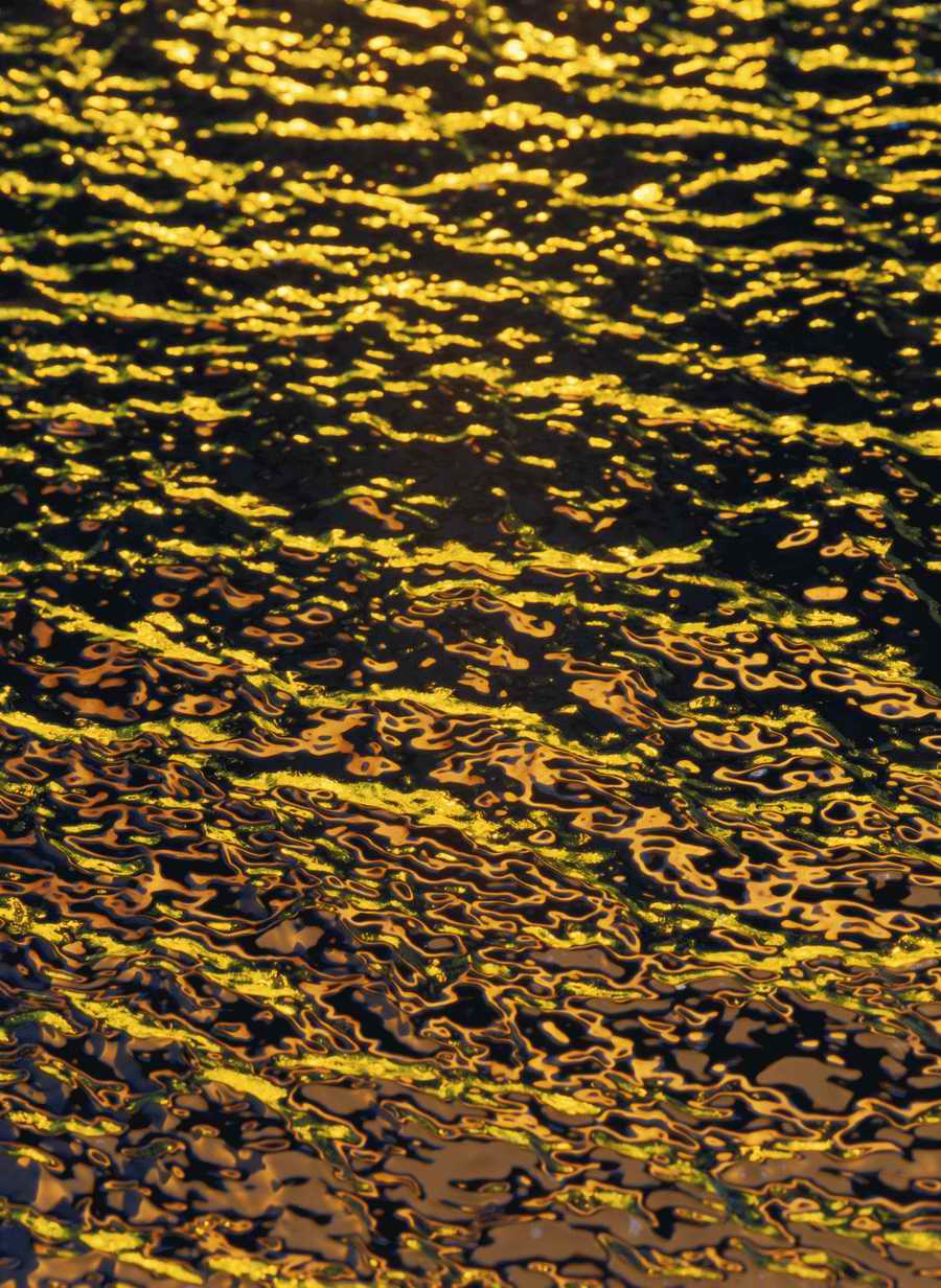 Water - Photodisk Special Offers Series ></a>
<script language=JavaScript> 
  var txt = 