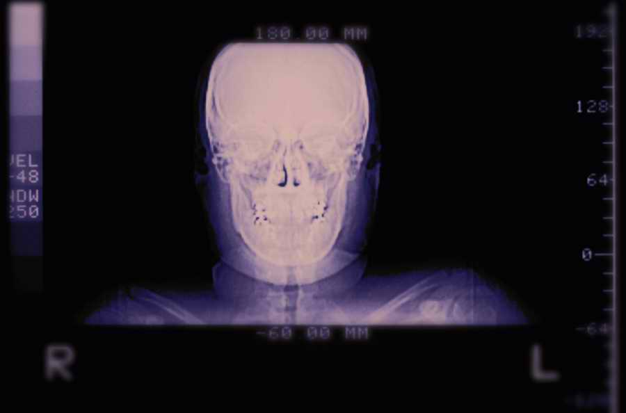 Anatomy of Medicine - Photodisc Signature Series ></a>
<script language=JavaScript> 
  var txt = 