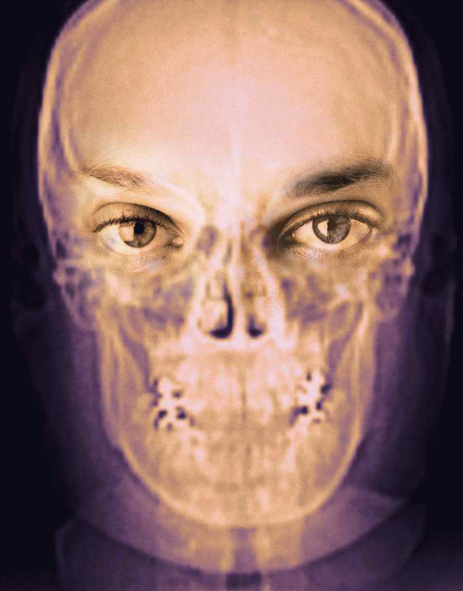 Anatomy of Medicine - Photodisc Signature Series ></a>
<script language=JavaScript> 
  var txt = 