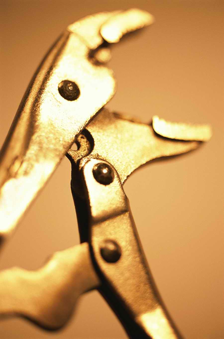Business Metaphors and Details - Photodisc Signature Series ></a>
<script language=JavaScript> 
  var txt = 