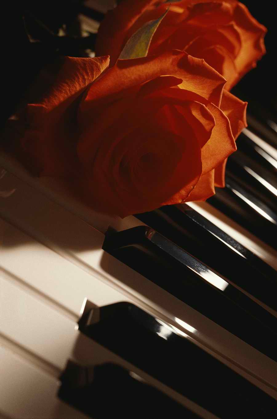 Cultural Arts - Photodisc Signature Series ></a>
<script language=JavaScript> 
  var txt = 