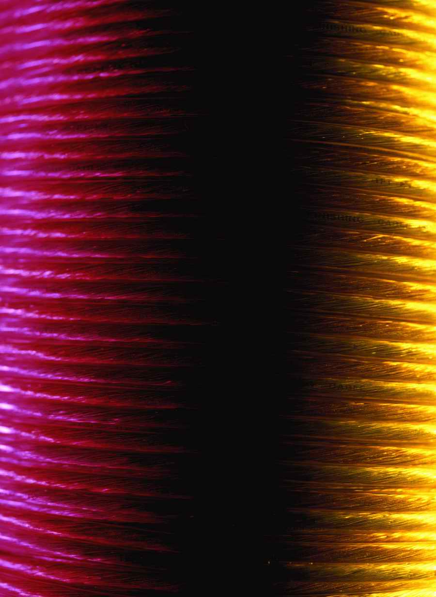 Electric Color - Photodisc Signature Series ></a>
<script language=JavaScript> 
  var txt = 