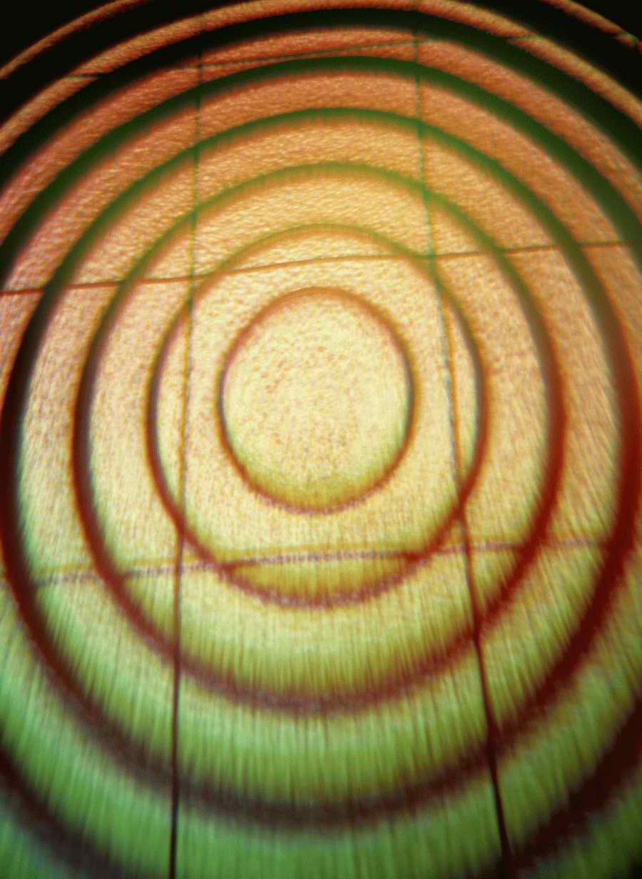 Electric Color - Photodisc Signature Series ></a>
<script language=JavaScript> 
  var txt = 