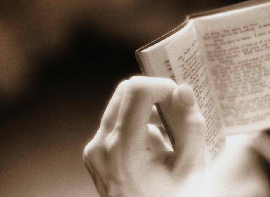 Evocative Hands - Photodisc Signature Series ></a>
<script language=JavaScript> 
  var txt = 