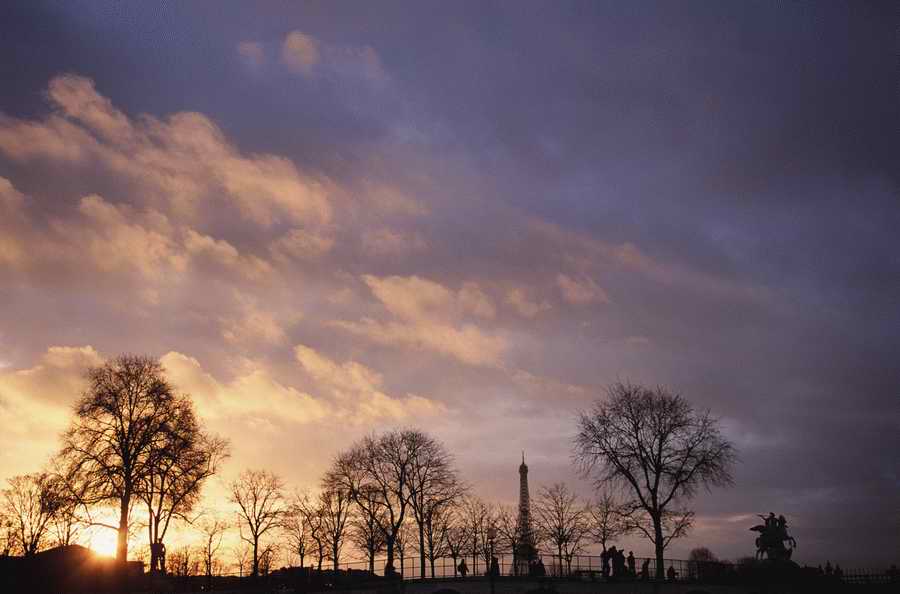 Evocative Landscapes - Photodisc Signature Series ></a>
<script language=JavaScript> 
  var txt = 