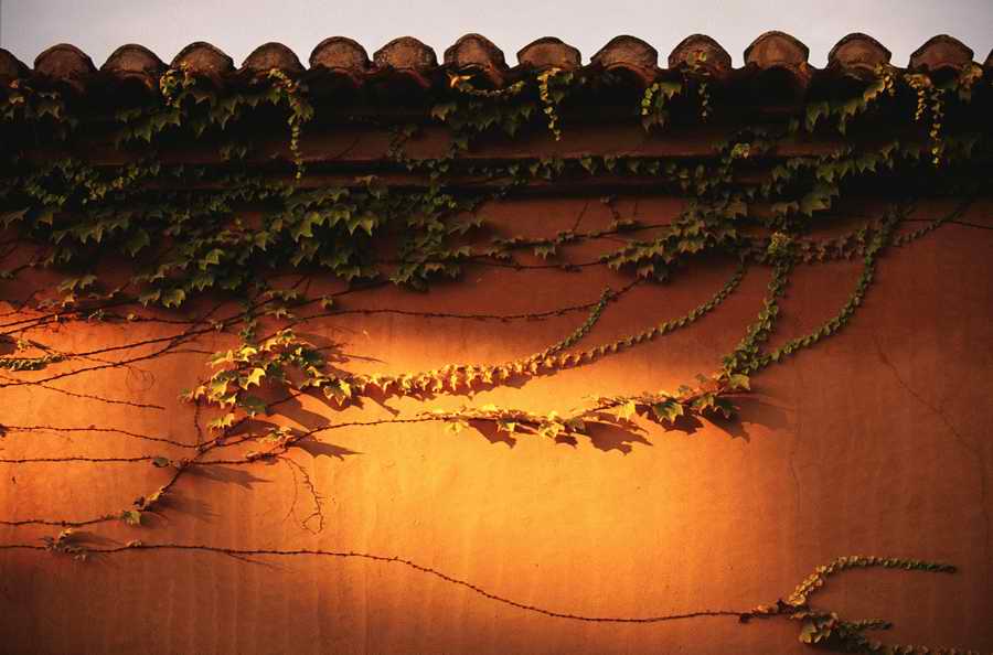 Evocative Landscapes - Photodisc Signature Series ></a>
<script language=JavaScript> 
  var txt = 