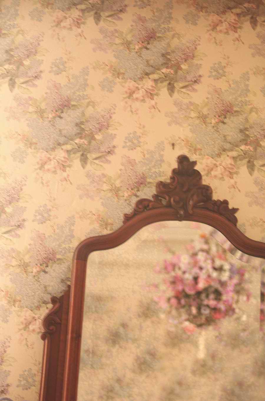 Evocative Landscapes - Photodisc Signature Series ></a>
<script language=JavaScript> 
  var txt = 