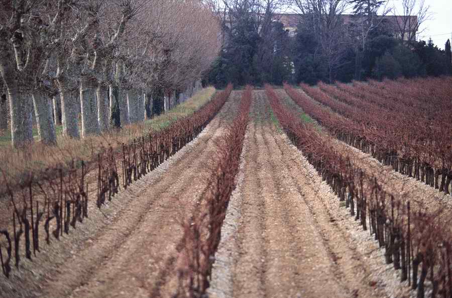 Evocative Landscapes - Photodisc Signature Series ></a>
<script language=JavaScript> 
  var txt = 