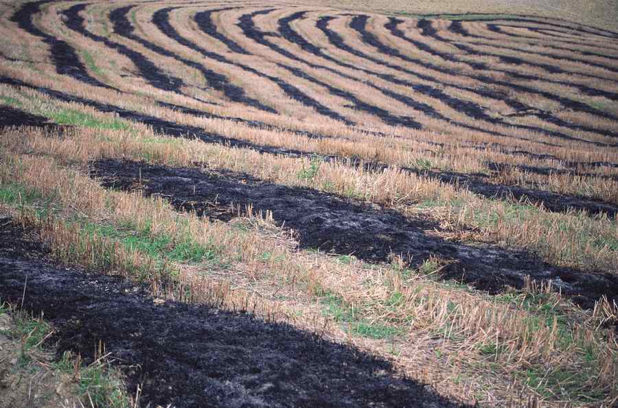 Evocative Landscapes - Photodisc Signature Series ></a>
<script language=JavaScript> 
  var txt = 