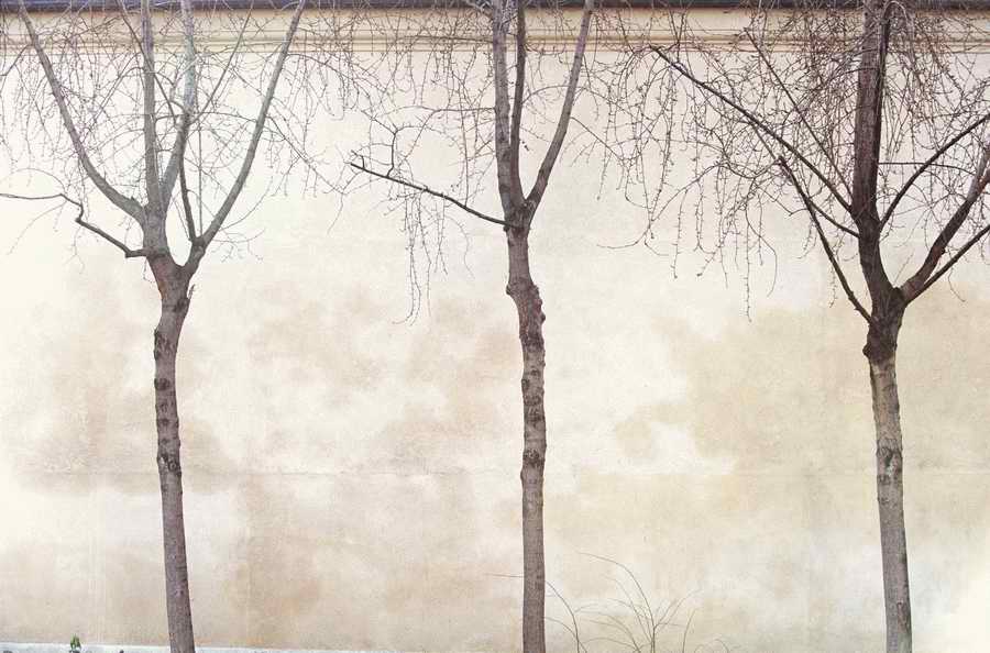 Evocative Landscapes - Photodisc Signature Series ></a>
<script language=JavaScript> 
  var txt = 