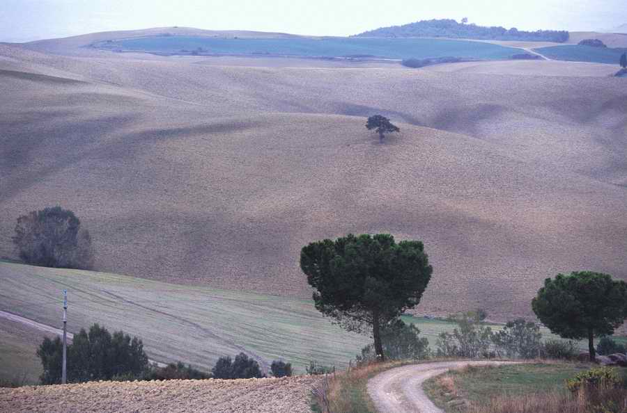 Evocative Landscapes - Photodisc Signature Series ></a>
<script language=JavaScript> 
  var txt = 