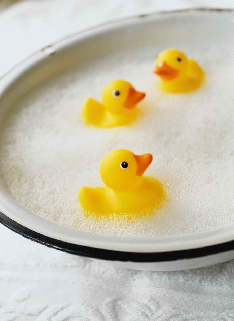 Home Comforts - Photodisc Signature Series ></a>
<script language=JavaScript> 
  var txt = 