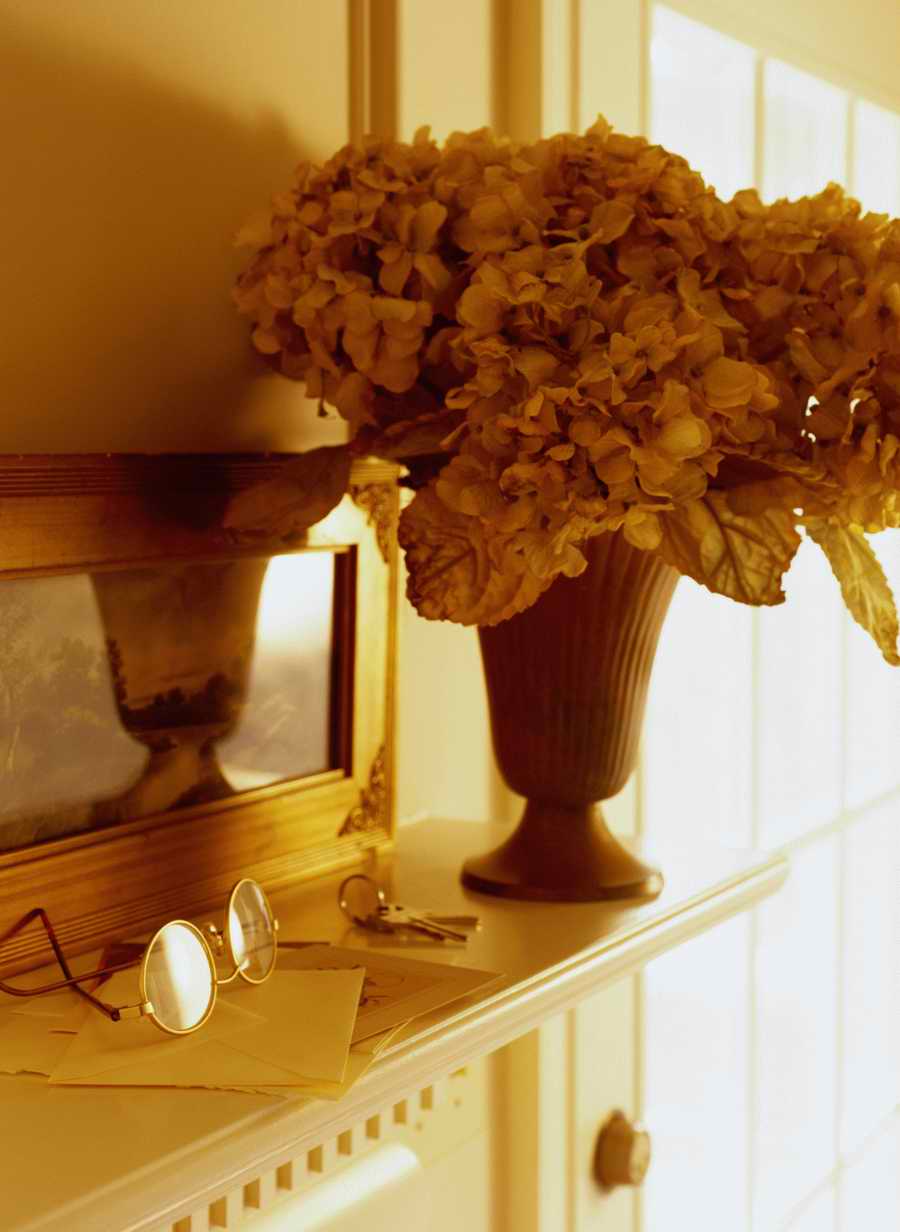 Home Comforts - Photodisc Signature Series ></a>
<script language=JavaScript> 
  var txt = 