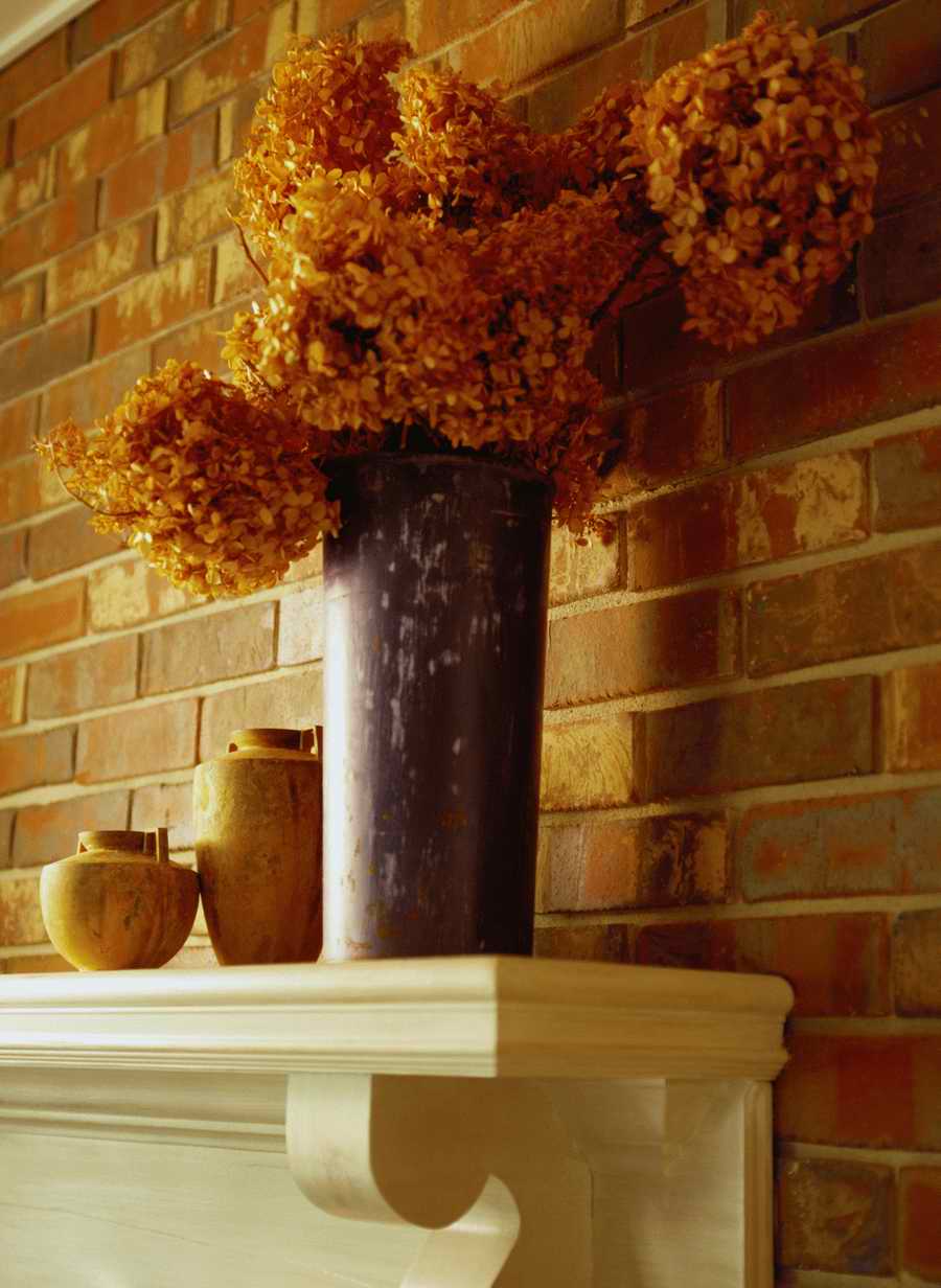 Home Comforts - Photodisc Signature Series ></a>
<script language=JavaScript> 
  var txt = 