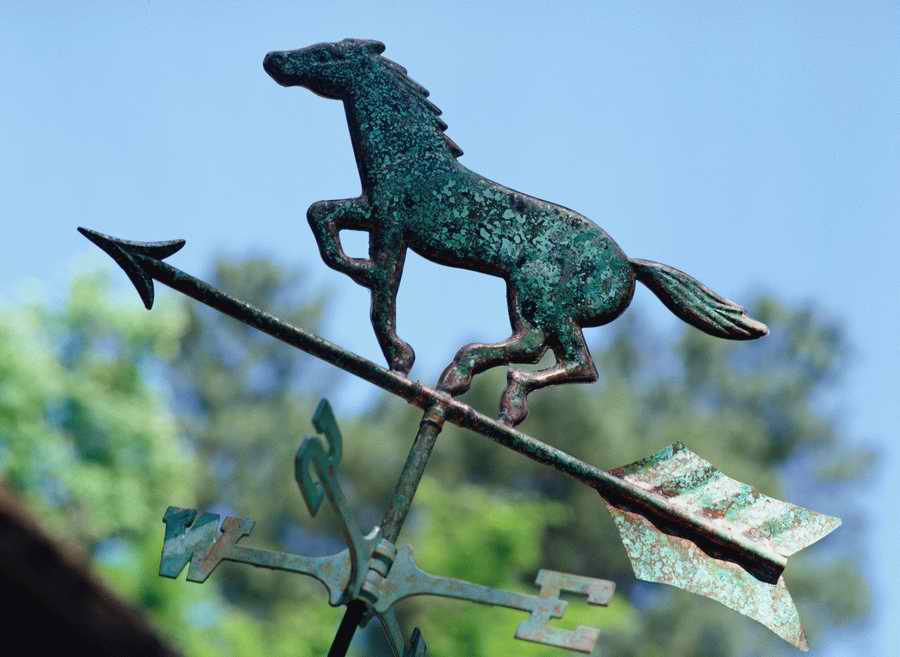 Home Comforts - Photodisc Signature Series ></a>
<script language=JavaScript> 
  var txt = 